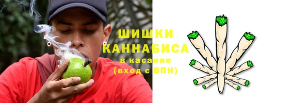 прущие грибы Алзамай