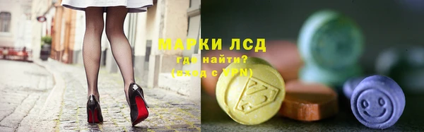 прущие грибы Алзамай