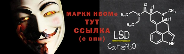 прущие грибы Алзамай