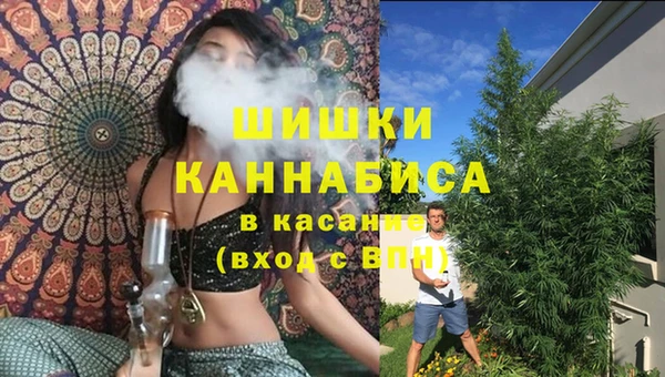 прущие грибы Алзамай