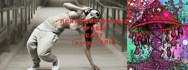 СК Алексеевка