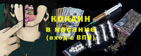 прущие грибы Алзамай